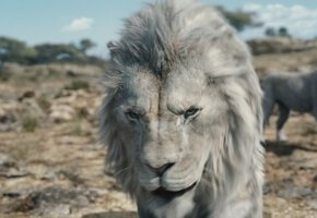 Mufasa: Der König der Löwen 3D