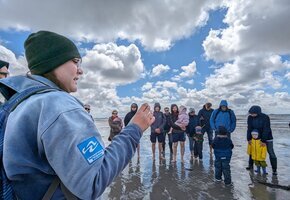 Kleine Wattwanderung auf Föhr