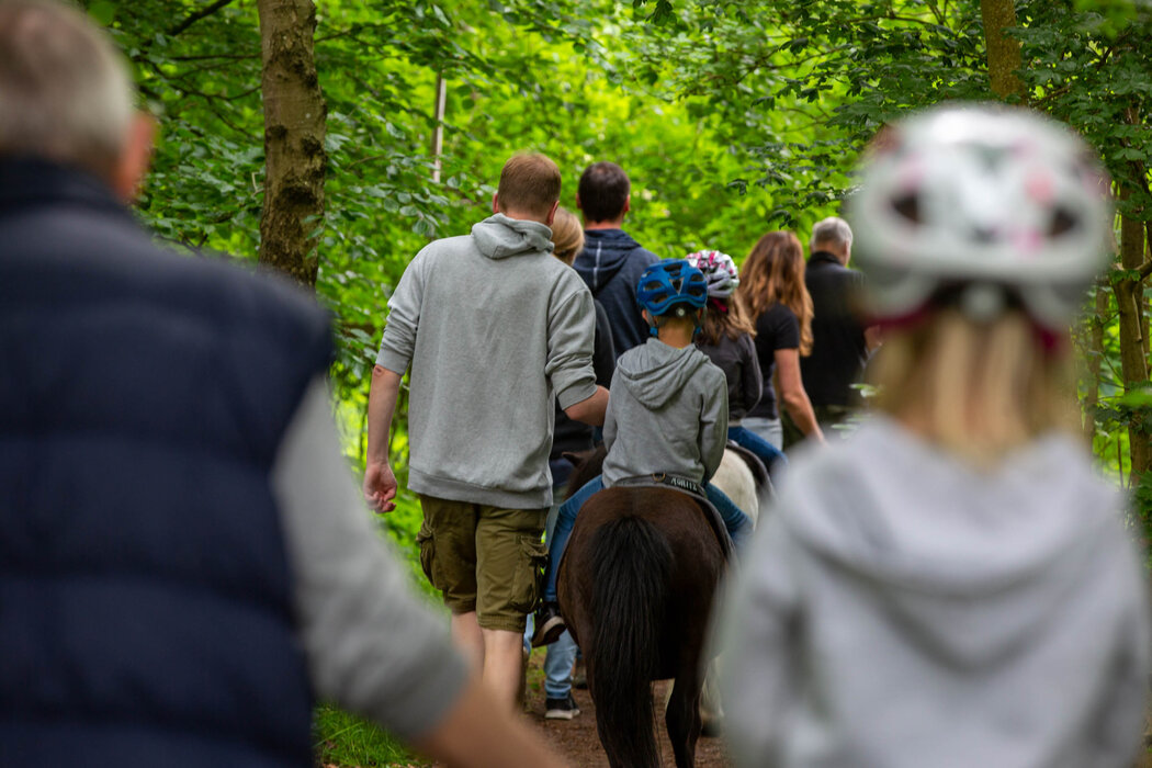 Geführtes Ponyreiten auf schönem Wiesengelände, ca. 20 Min.