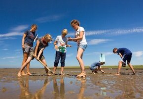 Kleine Wattführung