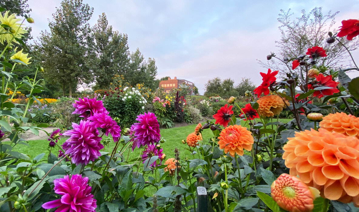 Nolde-Garten