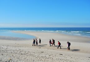 Führung: der weiße Strand von Amrum