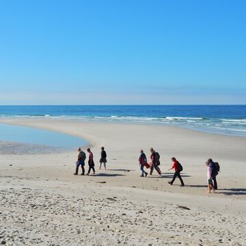 Führung: der weiße Strand von Amrum