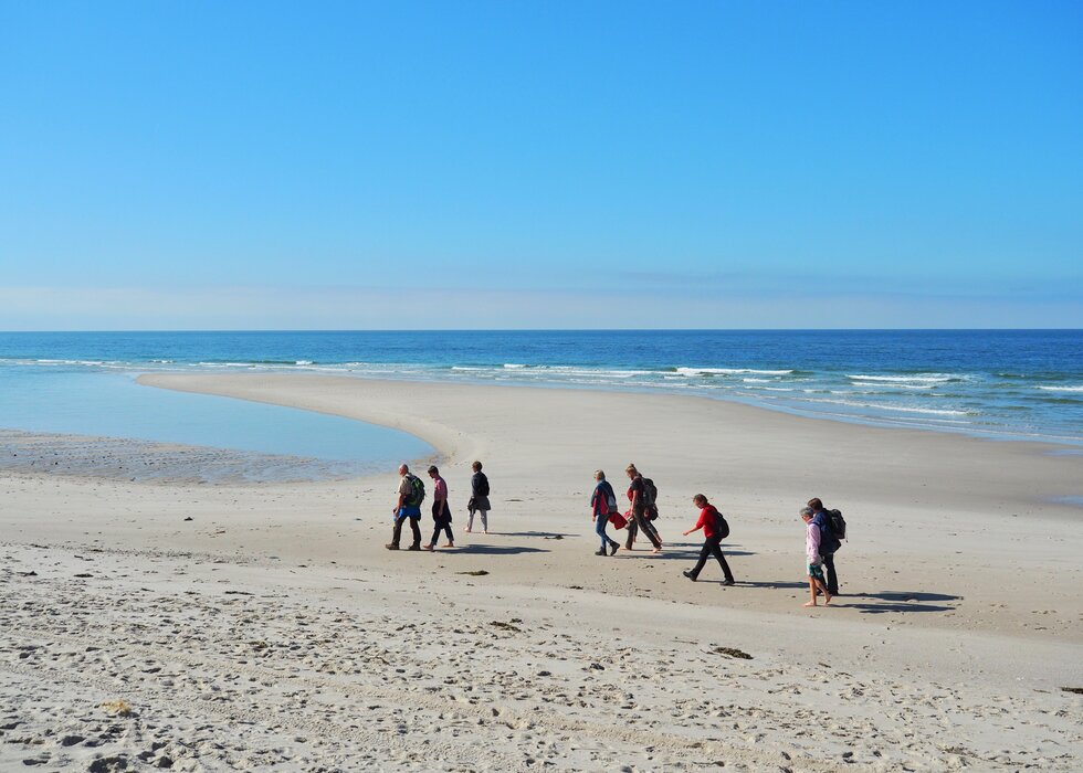 Führung: der weiße Strand von Amrum