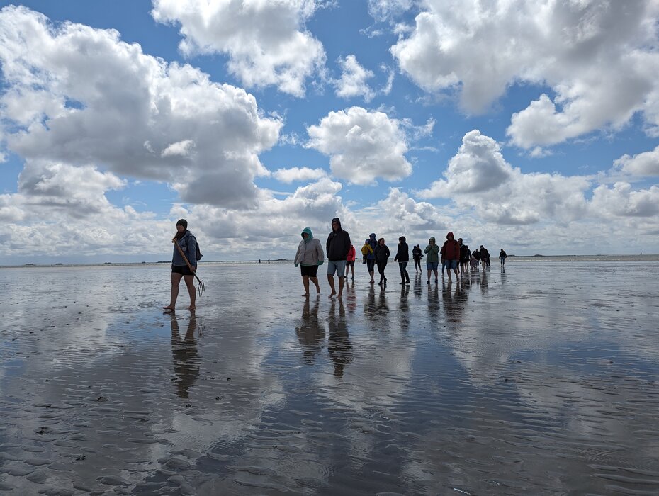 Kleine Wattwanderung auf Föhr