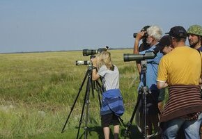 Der Blick vom Deich: Die Natur des Nationalparks