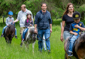 Geführtes Ponyreiten auf schönem Wiesengelände, ca. 20 Min.