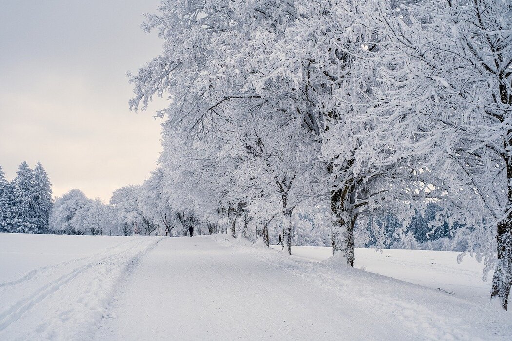 Winterbasteln mit MaikeMoin