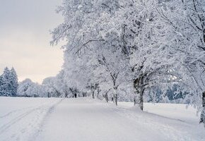 Winterbasteln mit MaikeMoin