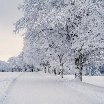 Winterbasteln mit MaikeMoin