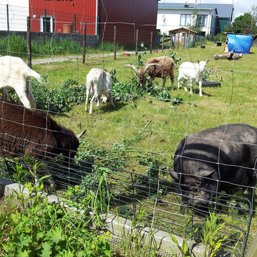 James und seine Freunde laden ein! Tiere erleben!