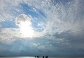 Wattwanderung nach Föhr