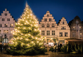 Weihnachtsbaum