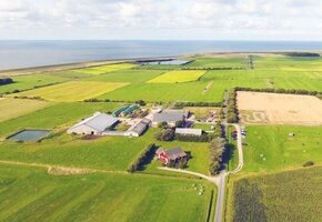 Hinrichsens Farm freut sich auf euch