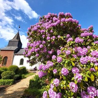 Kirche St. Niels Alt-Westerland 