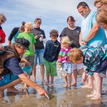 Kleine Wattführung