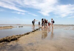 Wattwanderung von Föhr nach Amrum