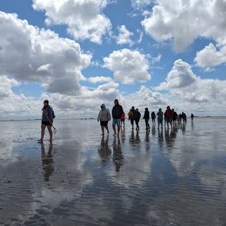 Kleine Wattwanderung auf Föhr