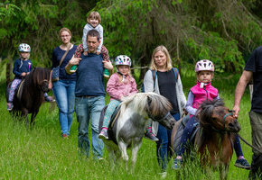 Geführtes Ponyreiten auf schönem Wiesengelände, ca. 20 Min.