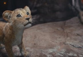 Mufasa: Der König der Löwen 3D