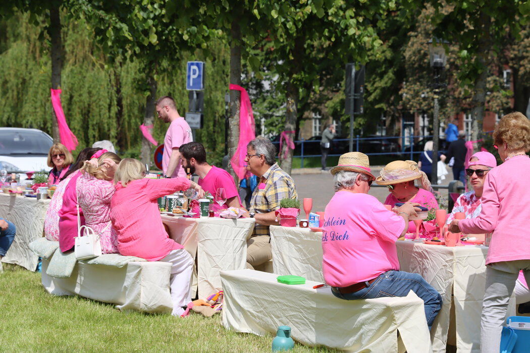 Picknick in Pink