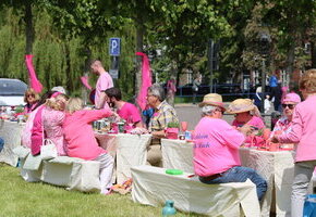 Picknick in Pink