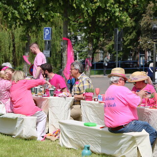 Picknick in Pink