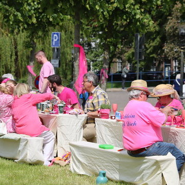 Picknick in Pink