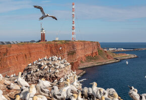 Mit dem Katamaran nach HELGOLAND