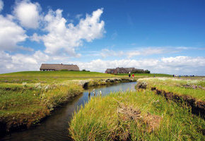 ​Tagesausflug Hallig Gröde