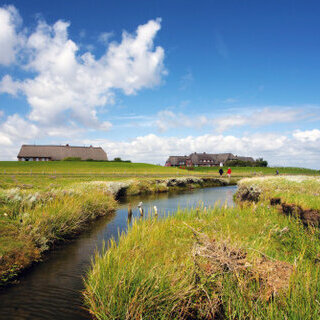 ​Tagesausflug Hallig Gröde