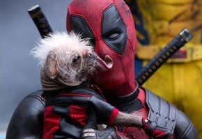 Deadpool & Wolverine 3D