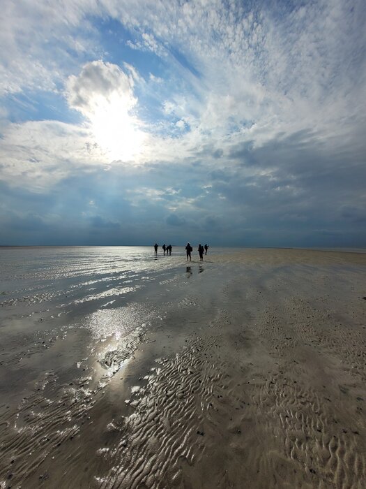 Wattwanderung in den Sonnenaufgang nach Föhr