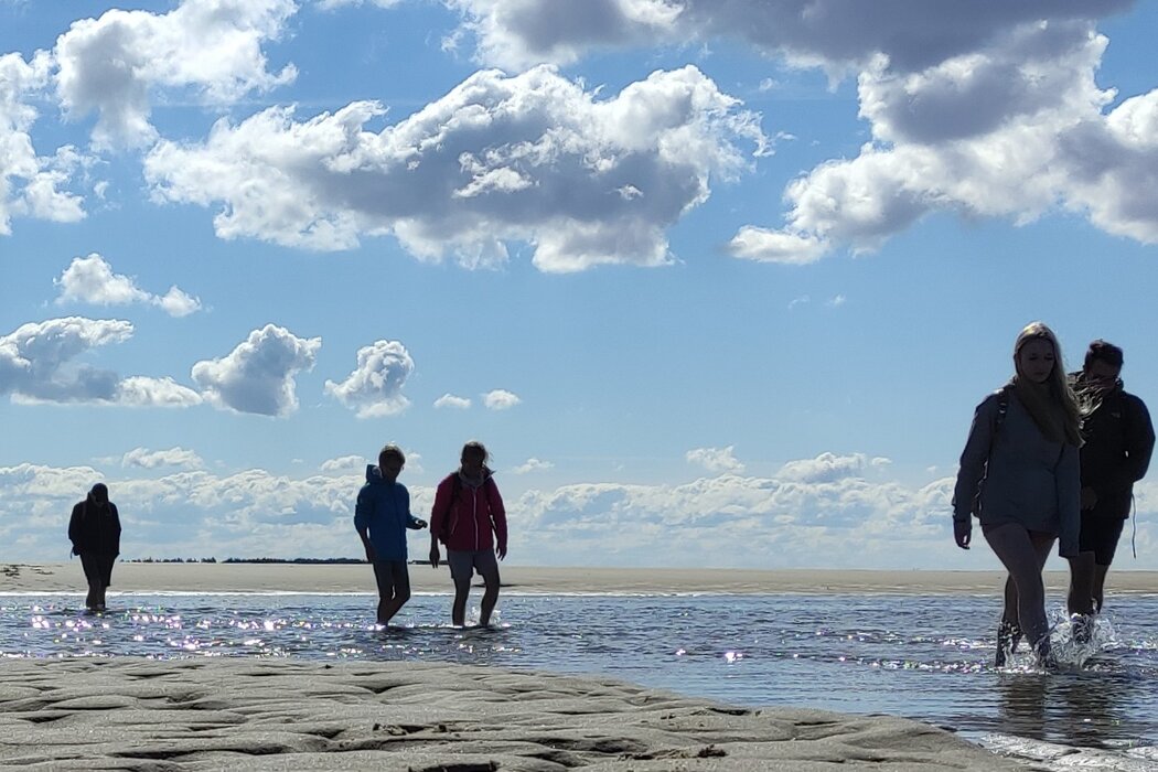 Wattwanderung von Amrum nach Föhr mit Nationalparkführer Matthias Hansen