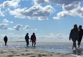 Wattwanderung von Amrum nach Föhr mit Nationalparkführer Matthias Hansen