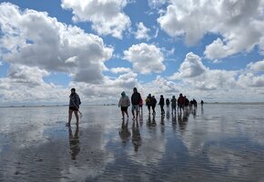 Kleine Wattwanderung auf Föhr