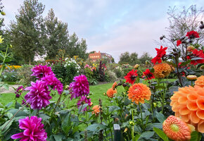 Nolde-Garten