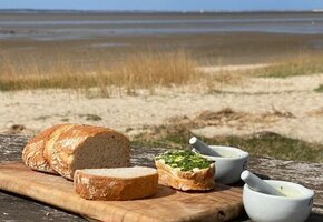 Natur- und Kräuterführung auf Föhr