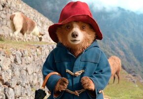 Paddington in Peru