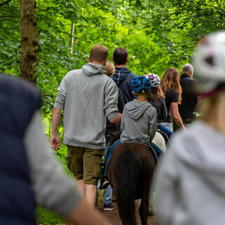 Geführtes Ponyreiten auf schönem Wiesengelände, ca. 20 Min.