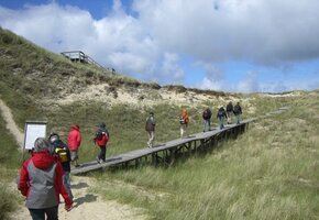 Führung: Amrums Dünen erleben