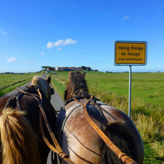 ​Schnellverbindung nach Hooge