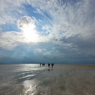 Wattwanderung in den Sonnenaufgang nach Föhr